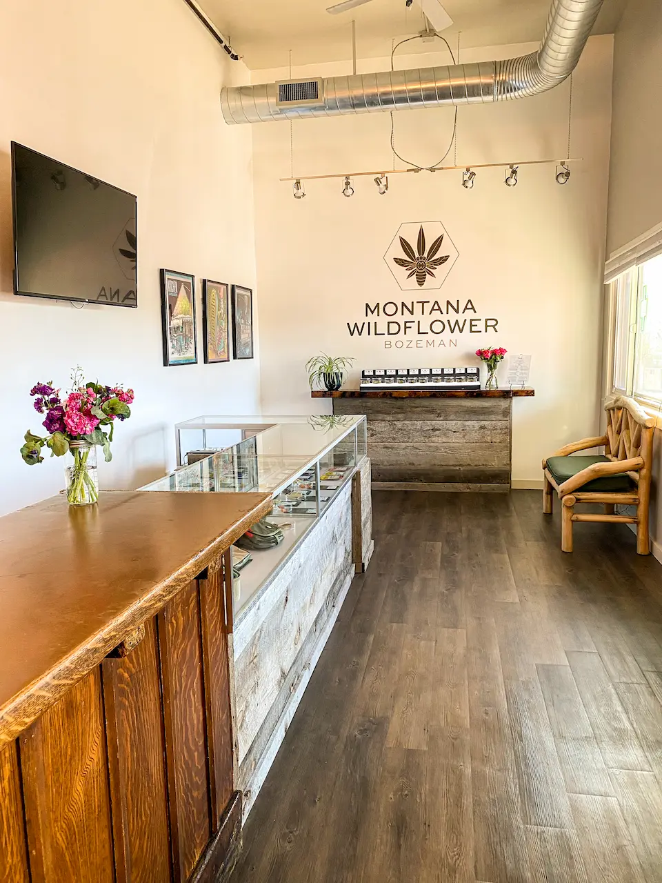 image of a live performance