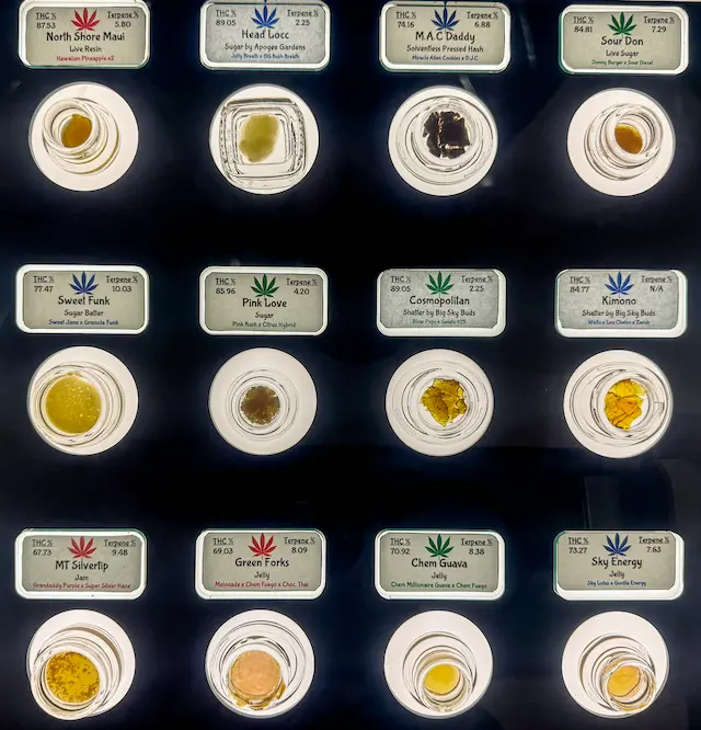 [background image] retail setting (for a tech gadgets store)