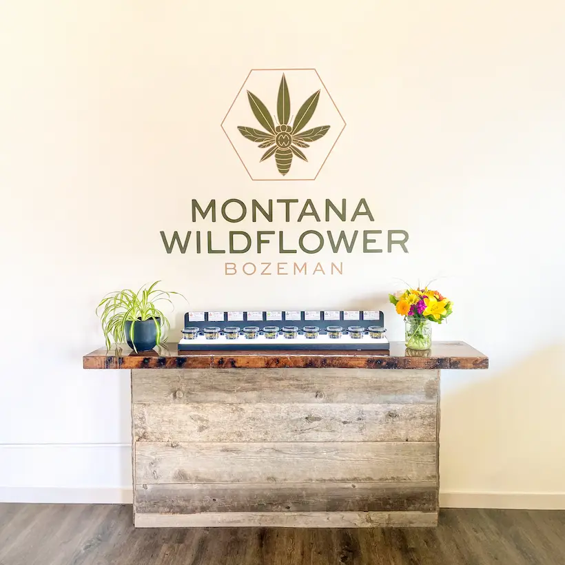 image of various pet food brands on shelves