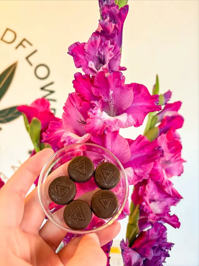 image of vehicle lineup (for an auto dealership)