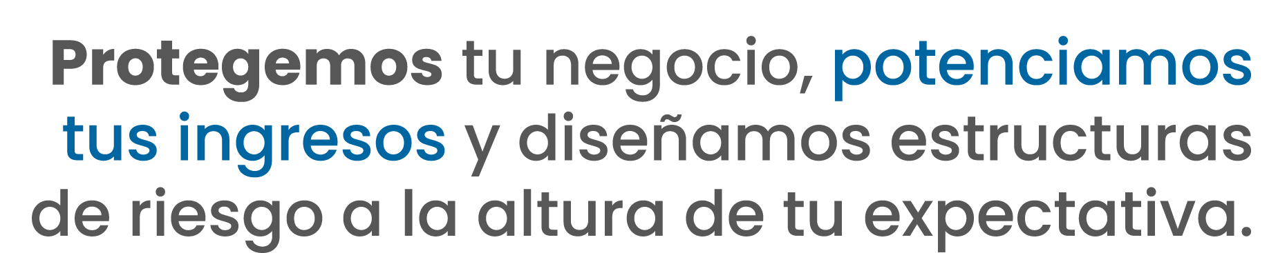 Protegemos tu negocio, potenciamos tus ingresos y diseñamos estructuras de riesgo a la altura de tu expectativa.