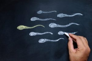 img-blog-Hand drawing sperm on blackboard