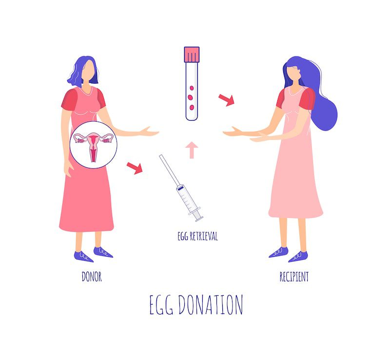 Vector image of egg donor and recipient.