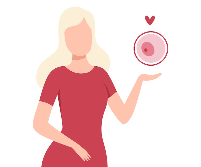 vector image of women and ovary with a heart representing egg donation.