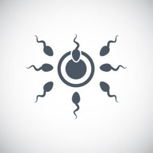 sperm vector icon