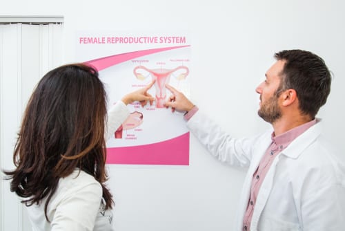 gynecologist explains to the patient female reproductive system-img-blog