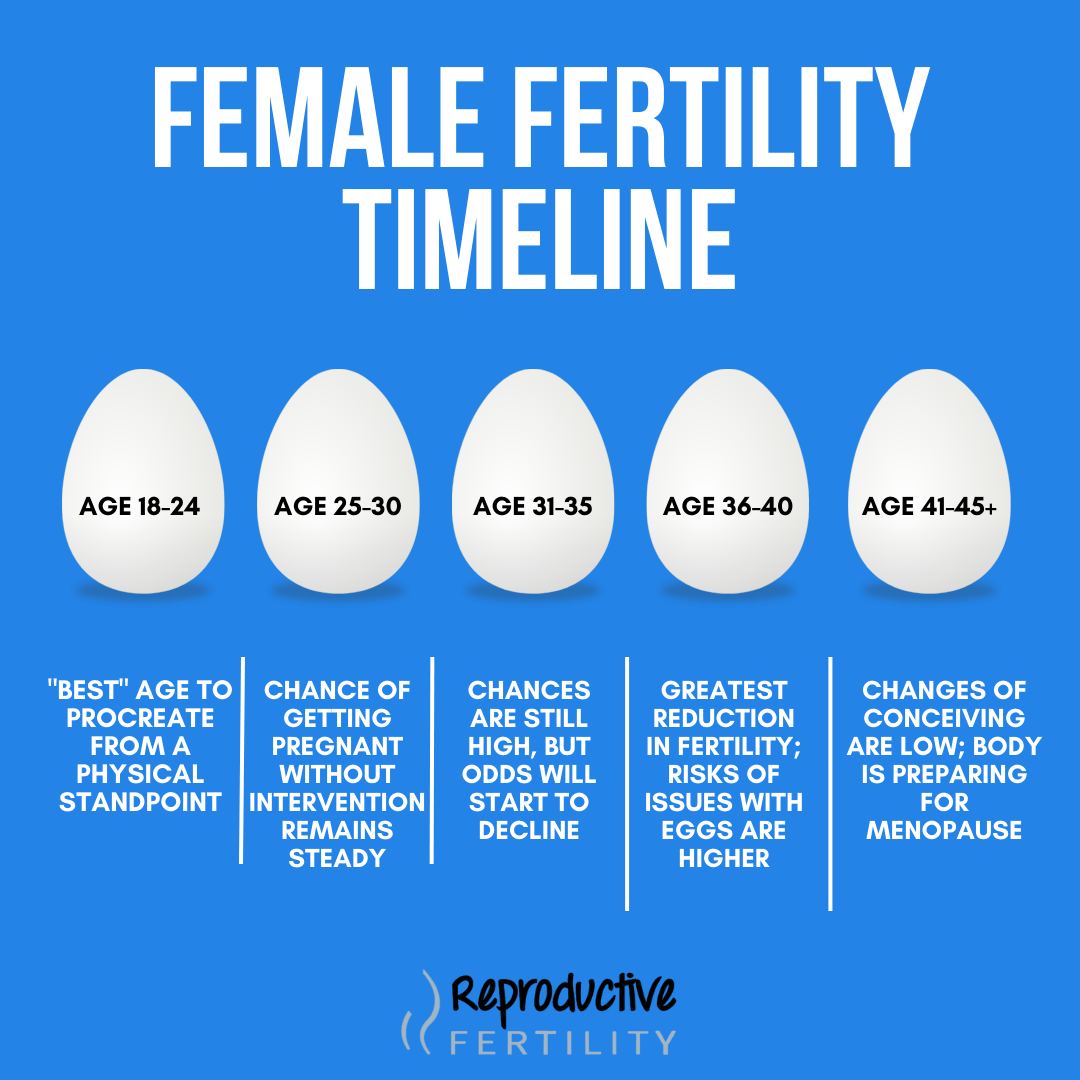 The female fertility timeline broken up by age group