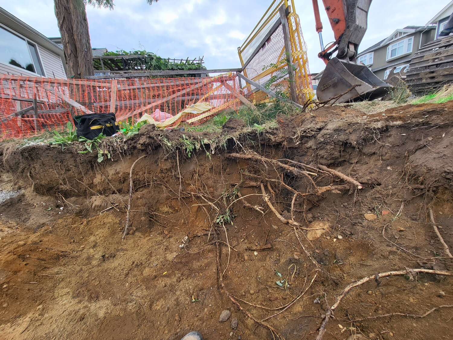 The Tree Police Arborists Service BC, Canada