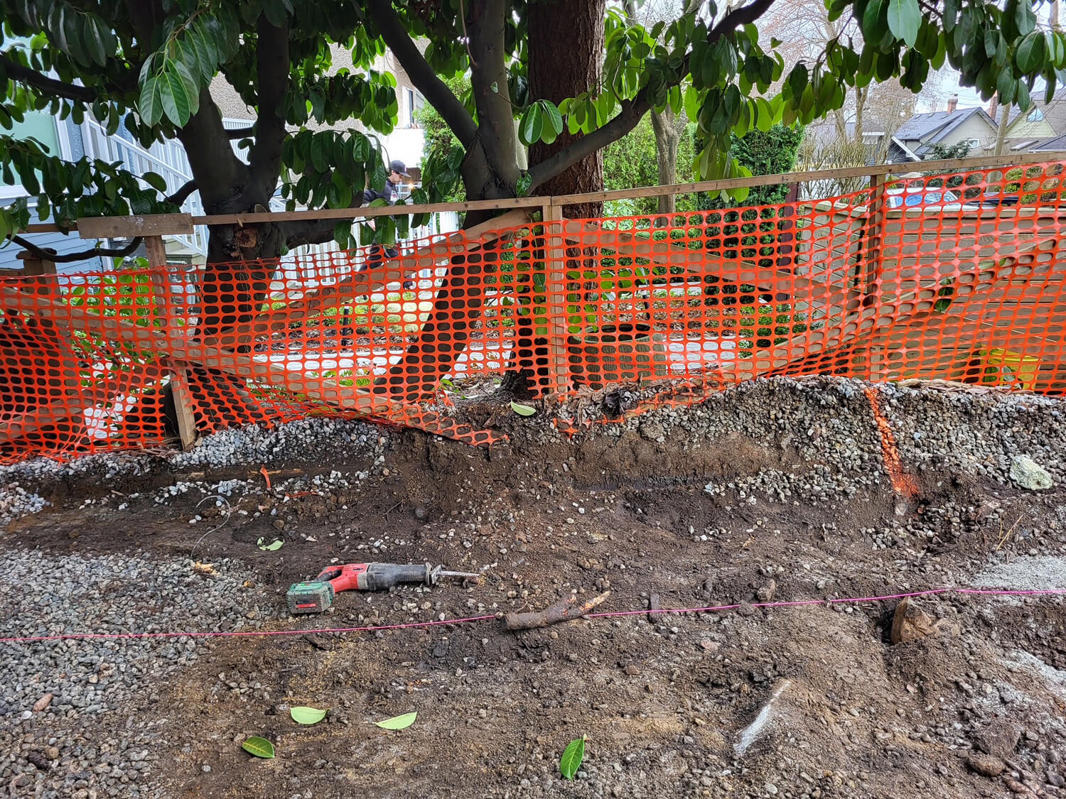 The Tree Police Arborists Service BC, Canada