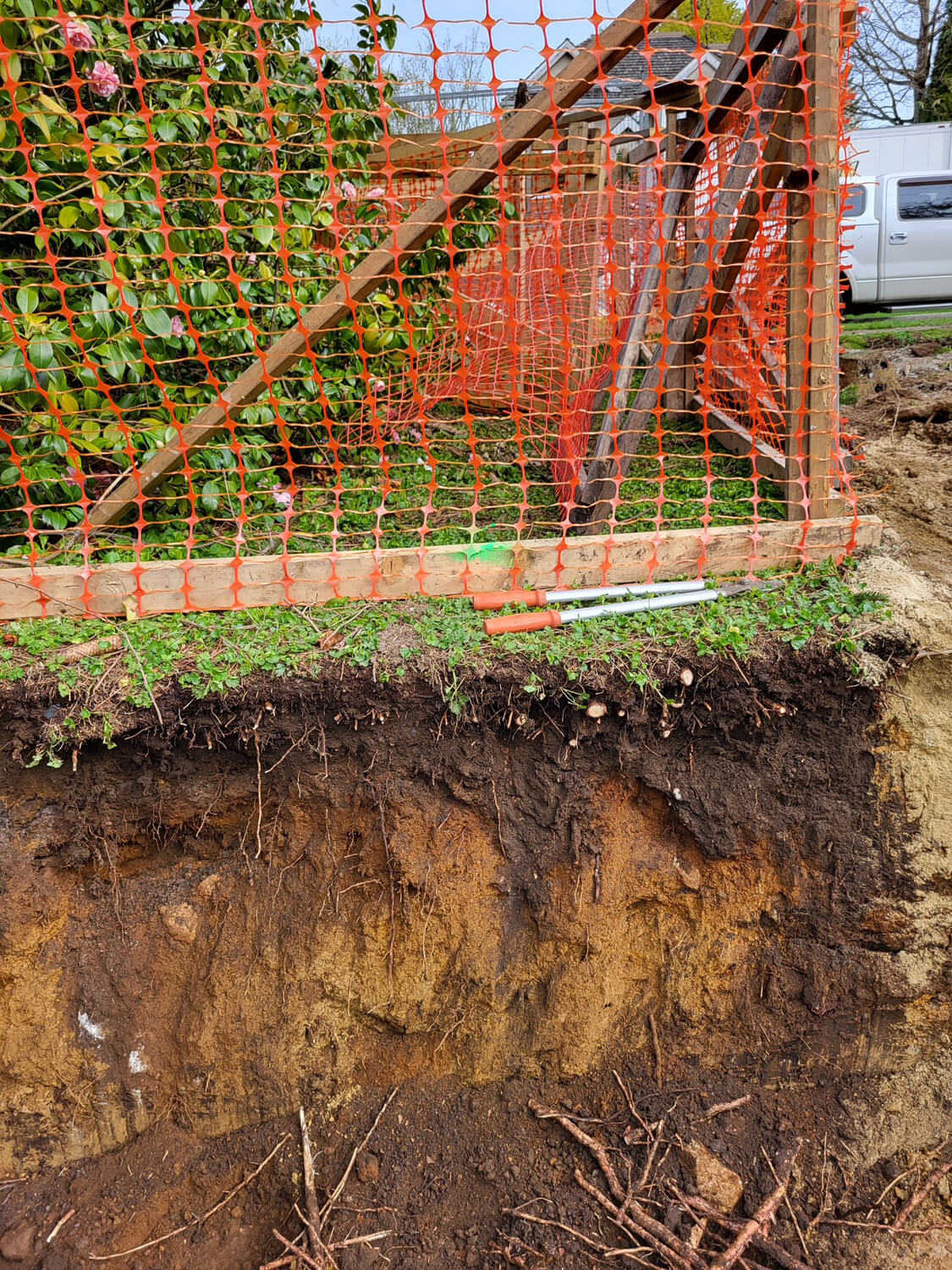 The Tree Police Arborists Service BC, Canada