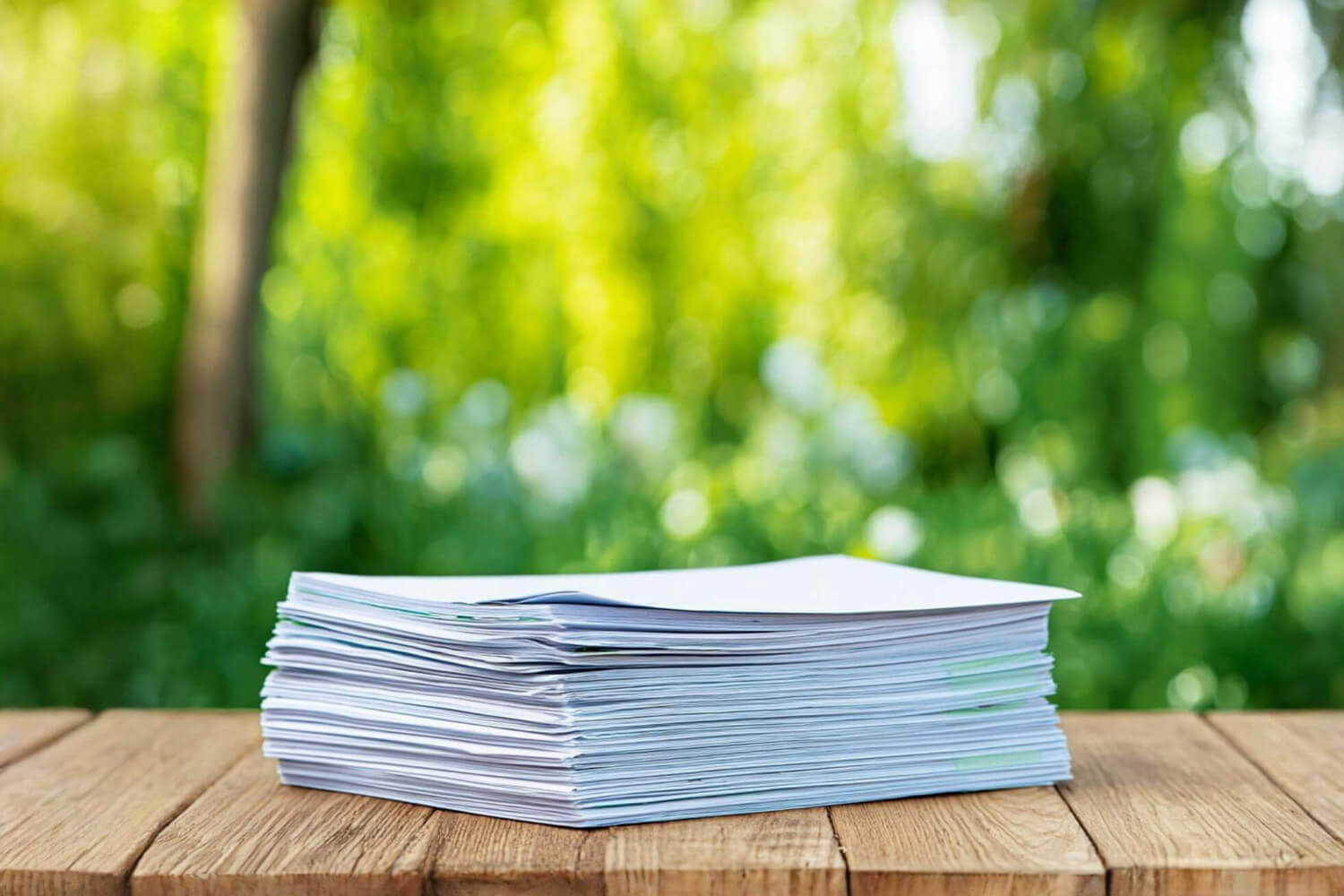 The Tree Police Arborists Service BC, Canada Report