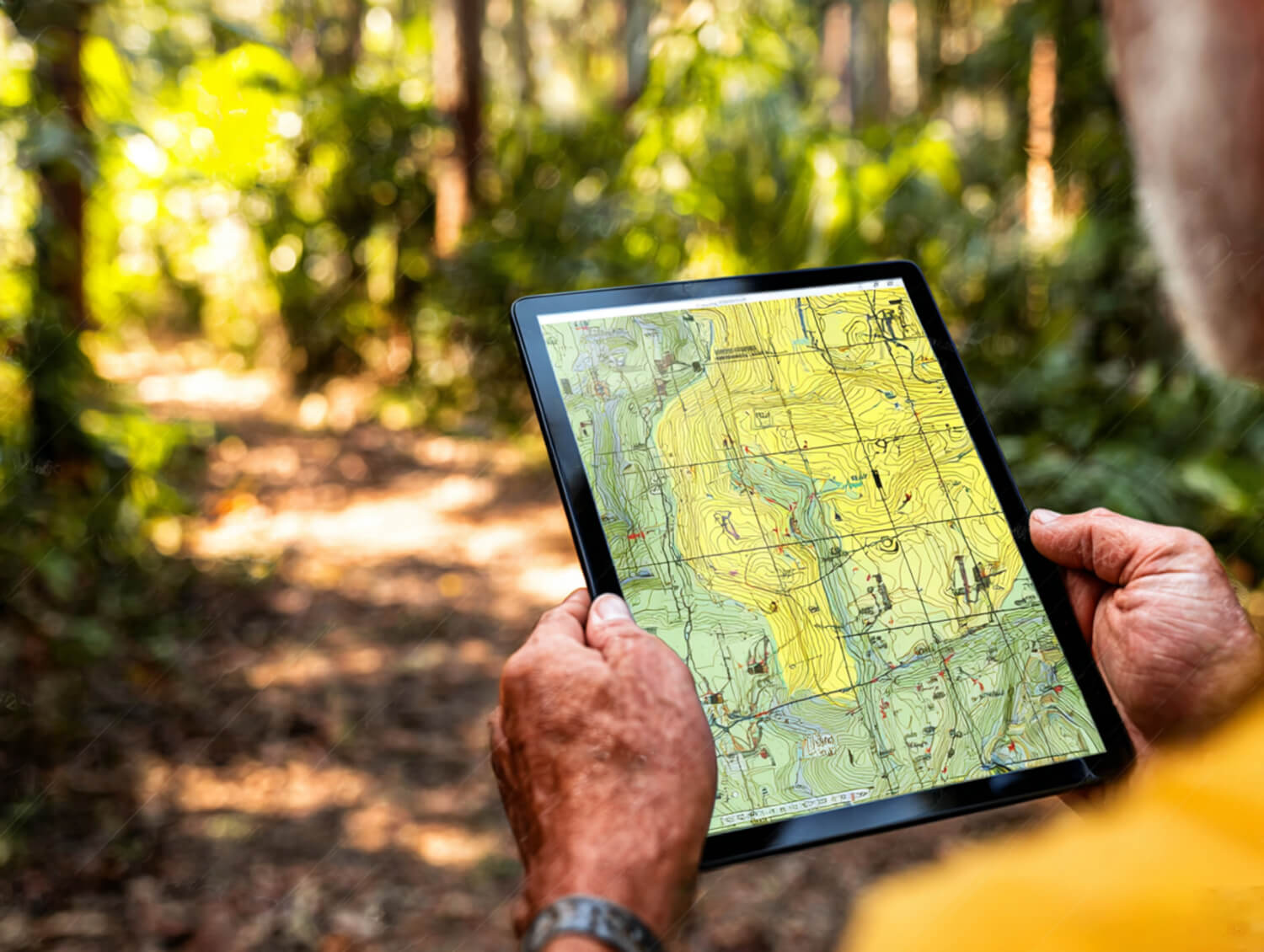 The Tree Police Arborists Service BC, Canada