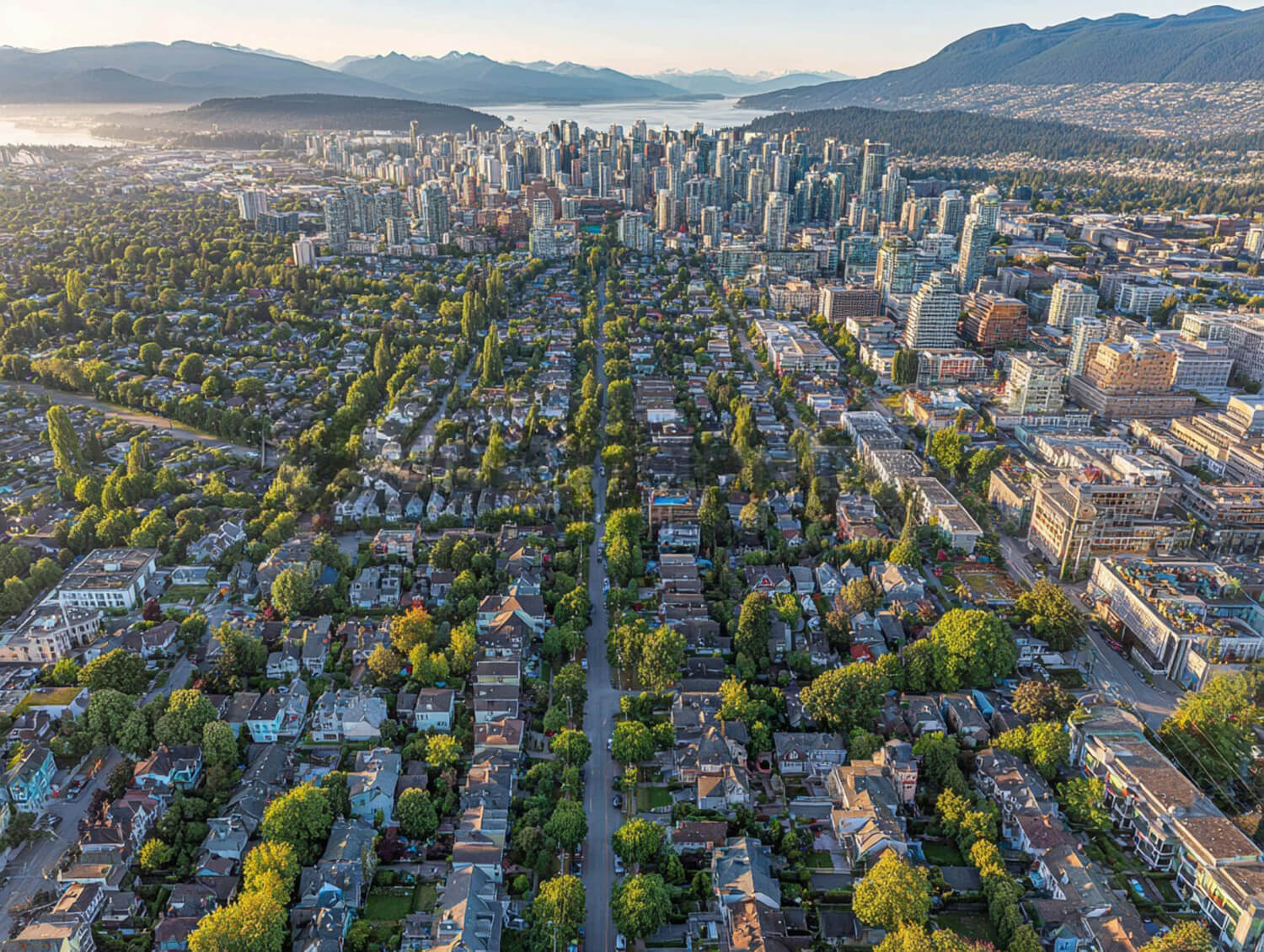 The Tree Police Arborists Service BC, Canada Bird View