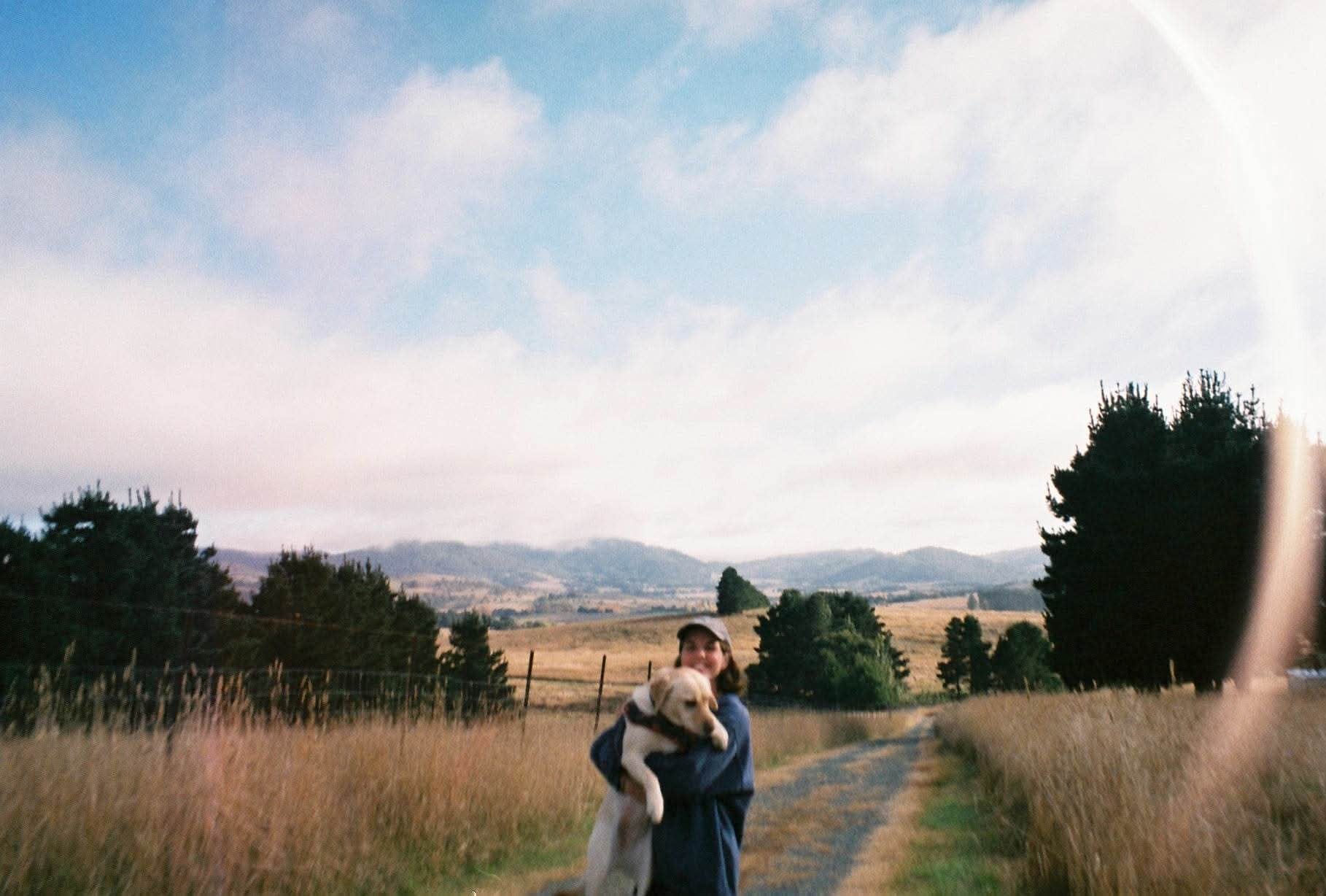 Film Grain article main image