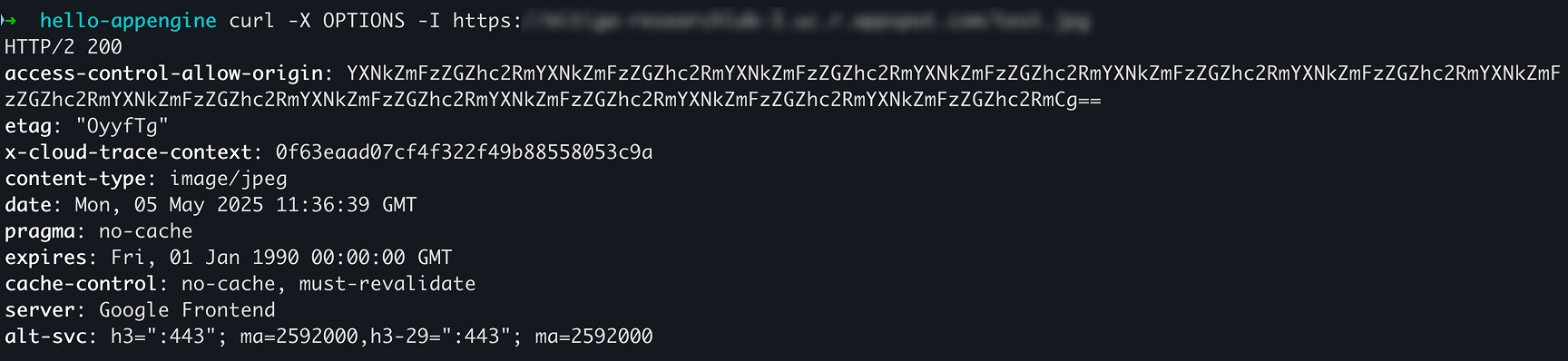 Trying to access that image hosted on another website using the OPTIONS request, we no longer get an error.