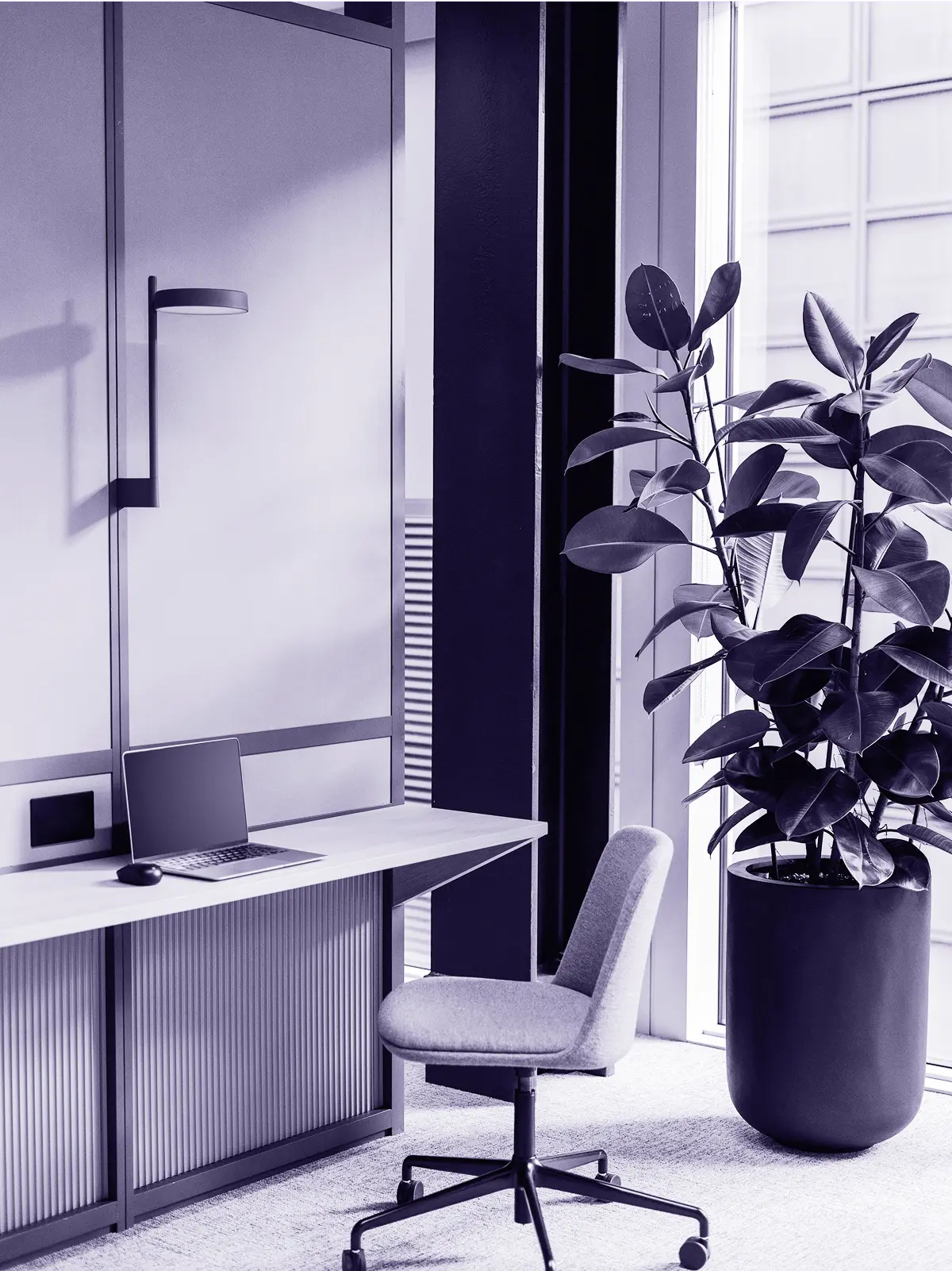 Photo of an office space with a focus on a desk with a laptop, office chair, and large floor plant.