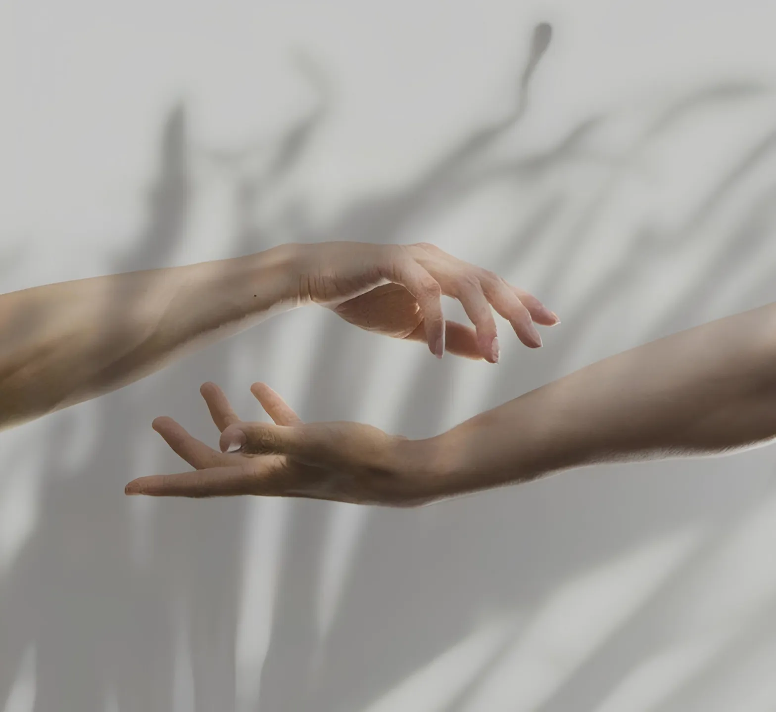 Two hands gently reaching towards each other against a light background with soft plant shadows