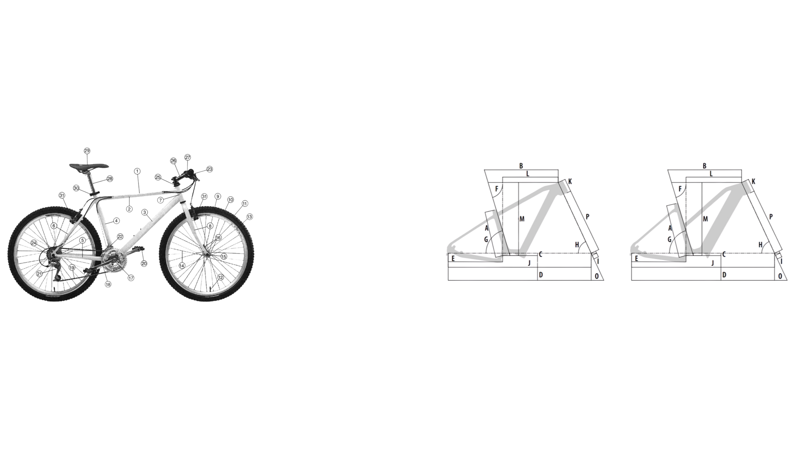 Two Nimbus Library founders in a minimalist office, showcasing the professional and versatile use of the library.