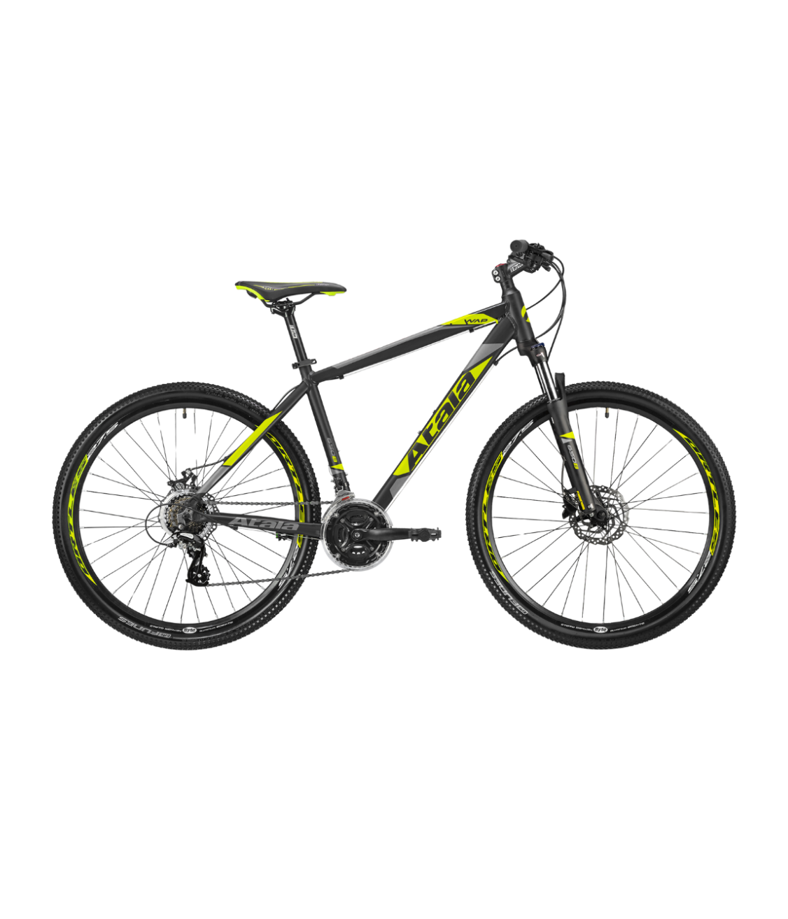 Two Nimbus Library founders in a minimalist office, showcasing the professional and versatile use of the library.