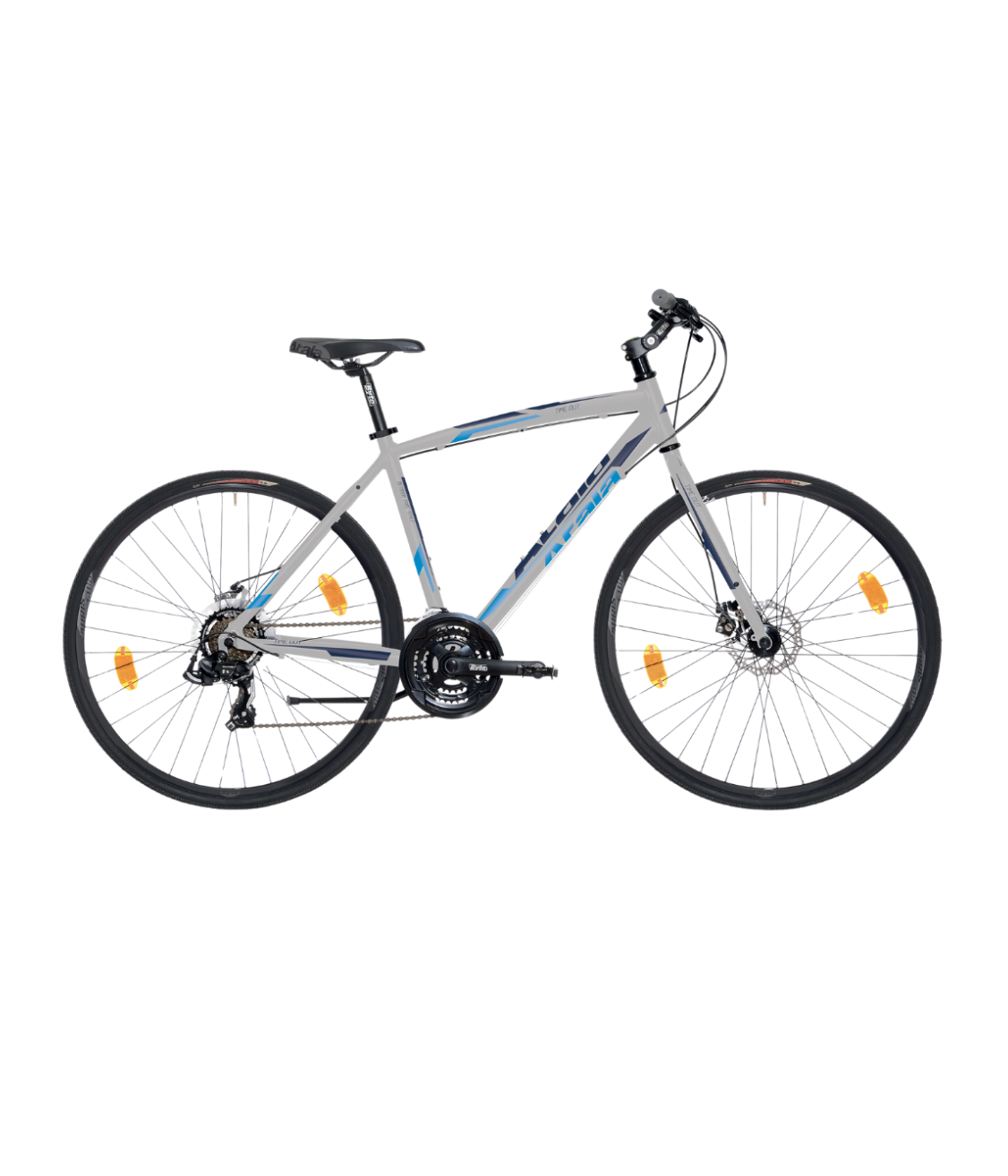 Two Nimbus Library founders in a minimalist office, showcasing the professional and versatile use of the library.