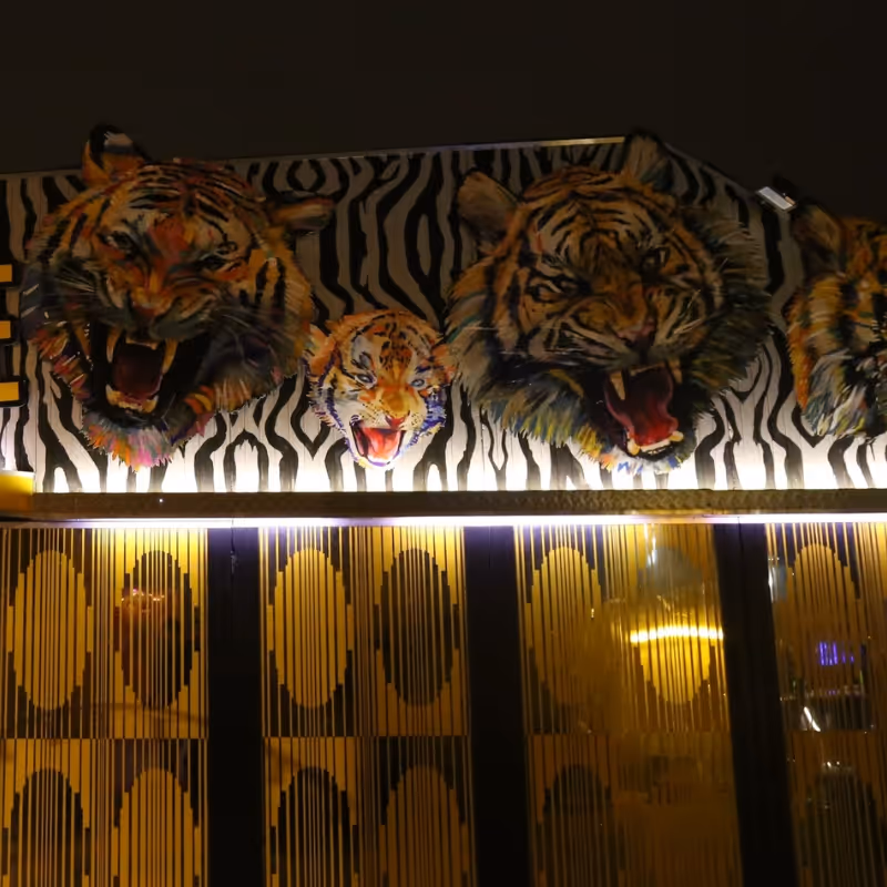 Façade nocturne avec des têtes de tigres rugissants en relief au-dessus d'une entrée éclairée avec des motifs jaunes et noirs.