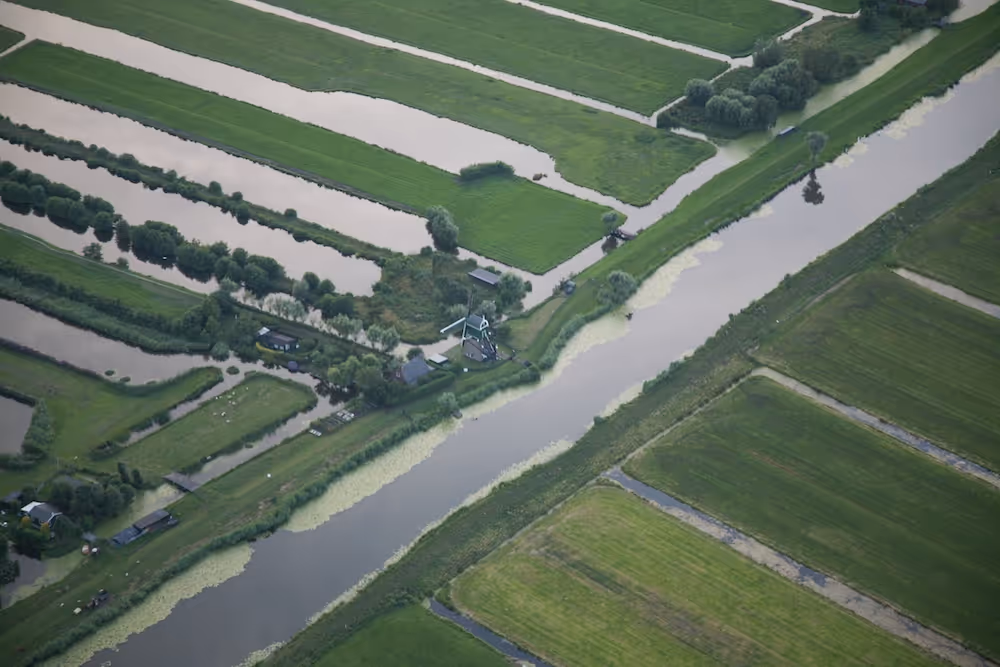Your site is hosted in the Netherlands for fast speeds and GDPR compliance, while Cloudflare ensures it’s available securely worldwide. You get local reliability with global reach.