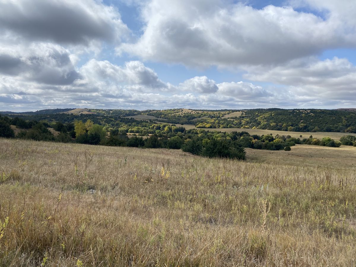 Nebraska Coyote Hunting Regulations: Year-Round Season, Night Hunting, and Electronic Calls