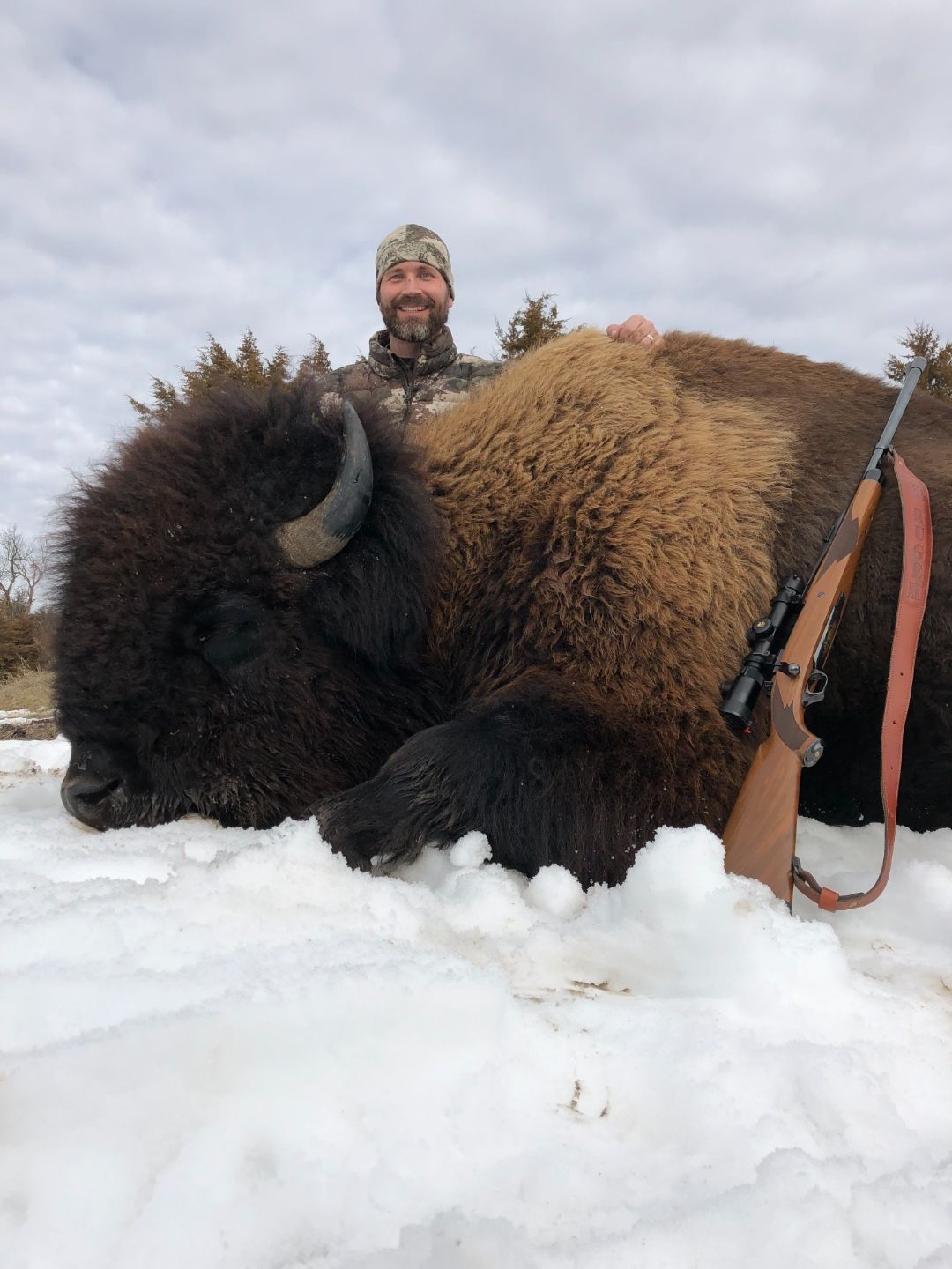 Bison hunt meat