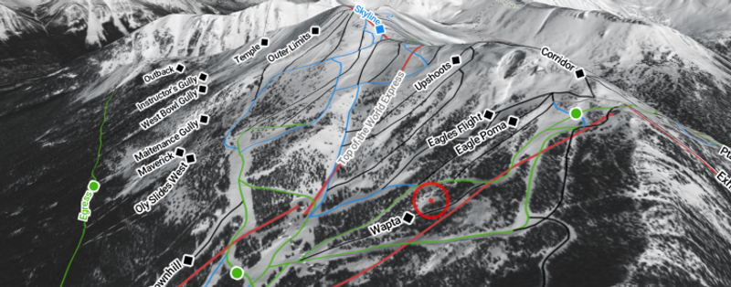 Detailed ski resort trail map highlighting slopes, lifts, and terrain features.