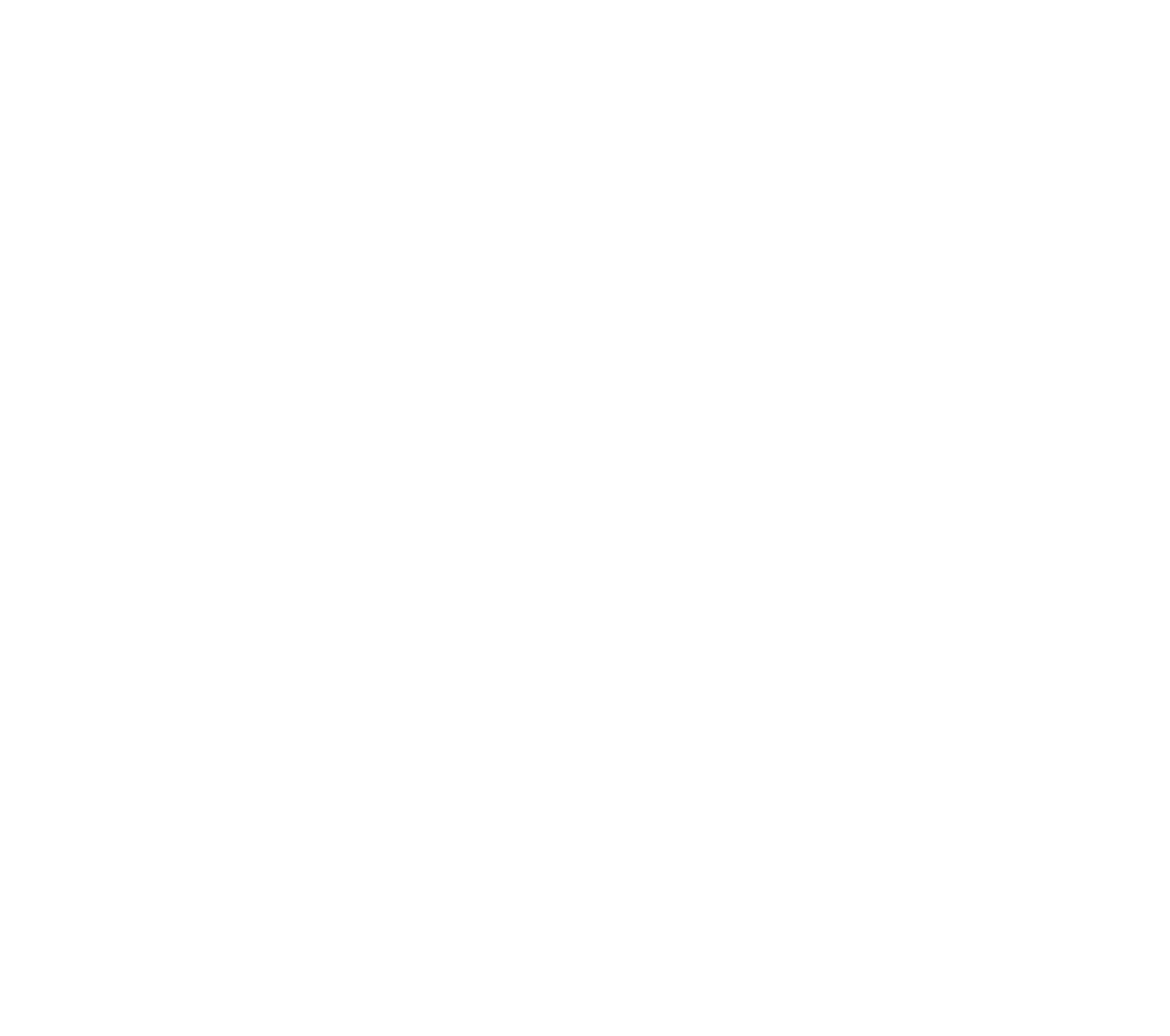 Traditional Designs Logo in white
