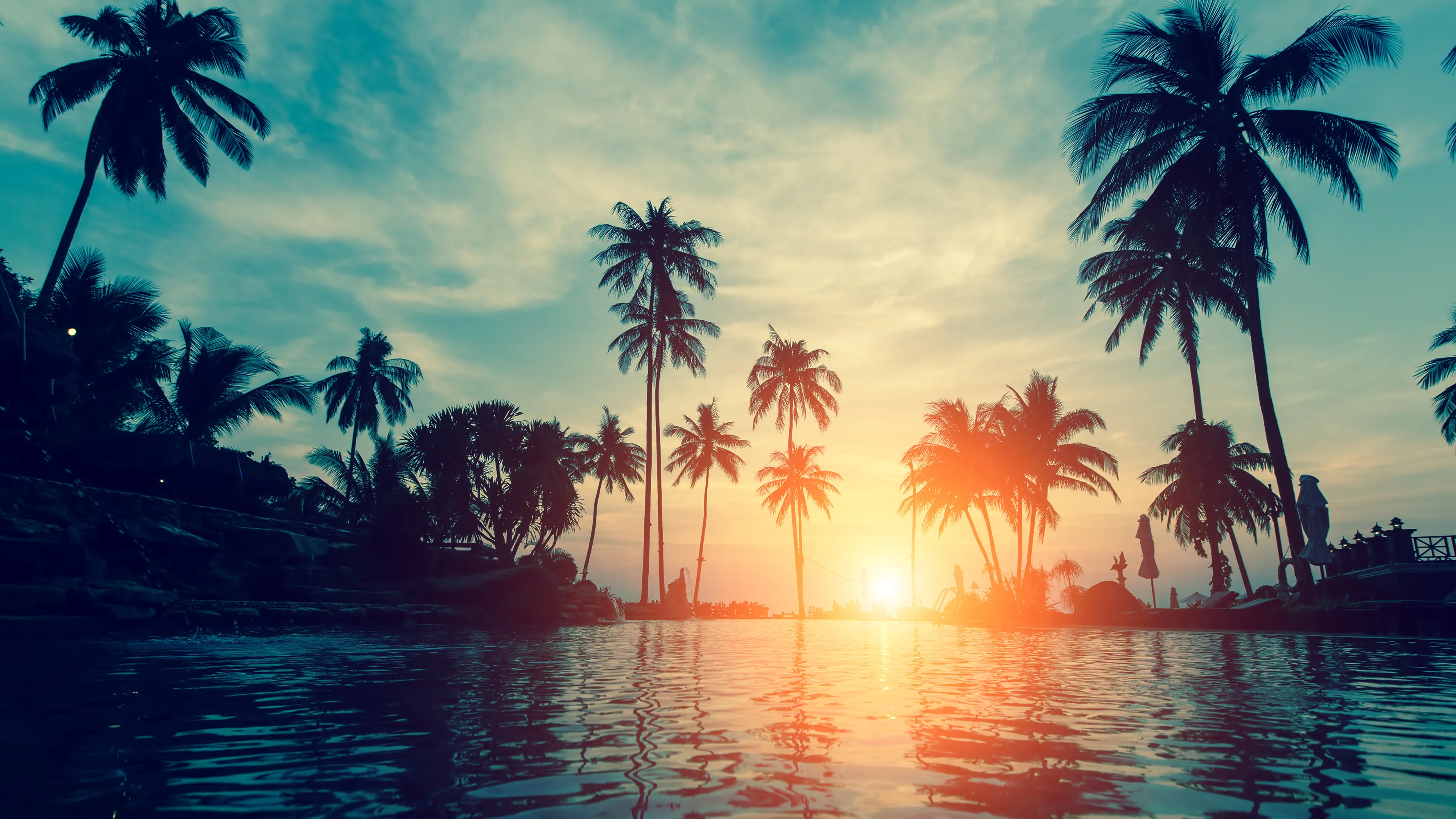 The sun is setting behind palm trees by the water.