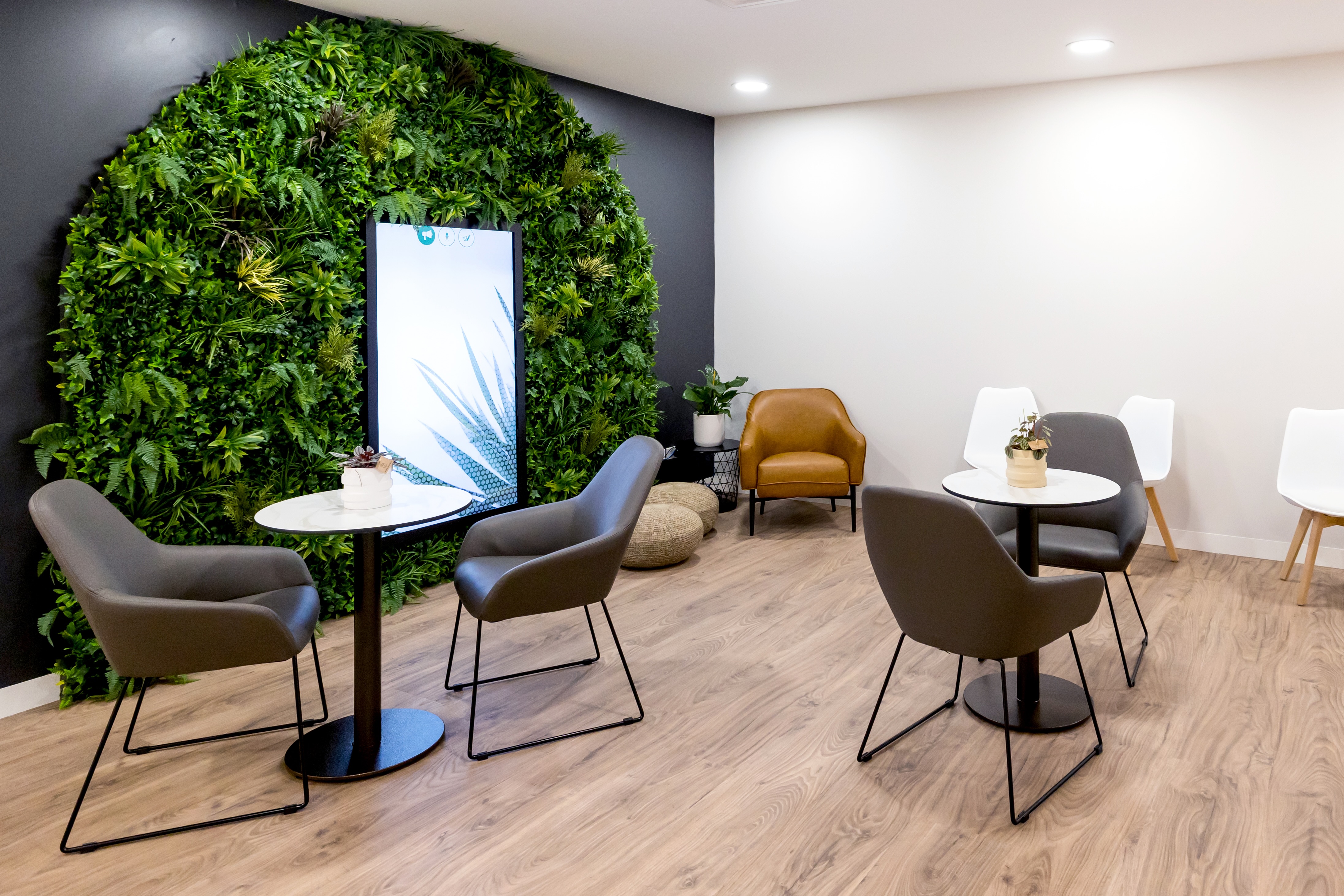 Next Practice Western Sydney Integrative Health medical clinic reception area