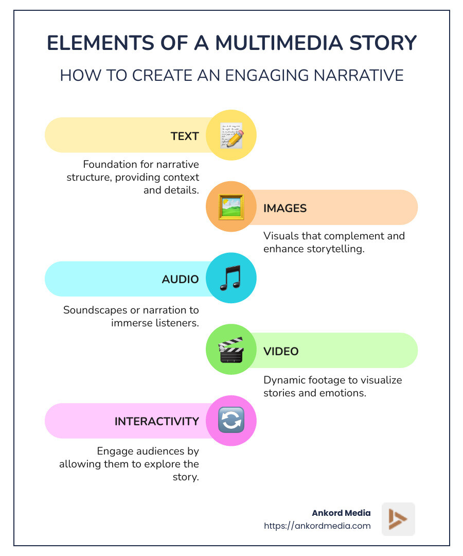 Infographic explaining elements of a multimedia story: text, images, audio, video, interactivity - multimedia story infographic infographic-line-5-steps-colors