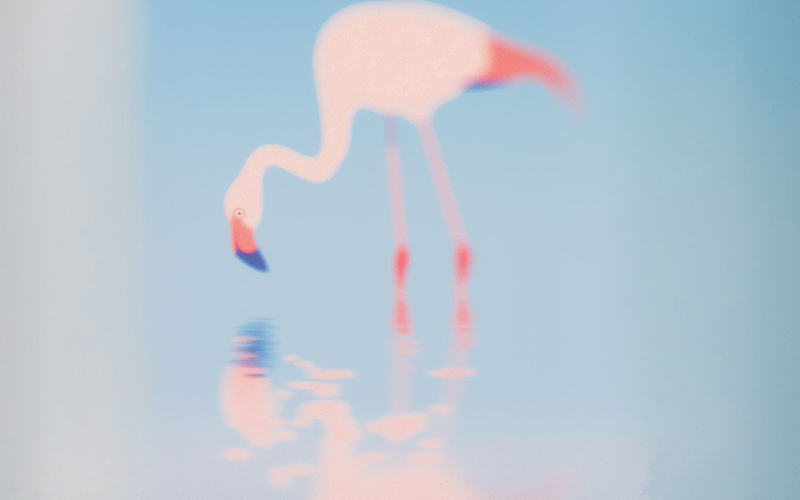 Project Gallery Image