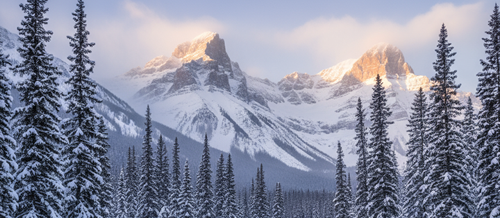 Snow-covered evergreen trees in front of towering mountains bathed in warm sunlight.