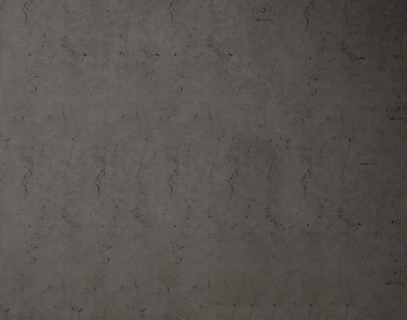 A concrete wall background.