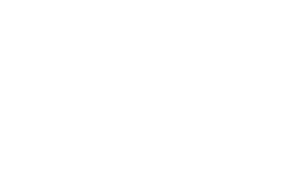 Wingman Group