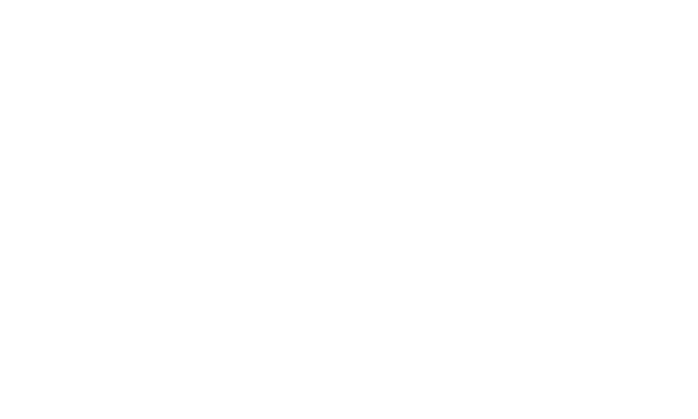 Rent Roll Mastery
