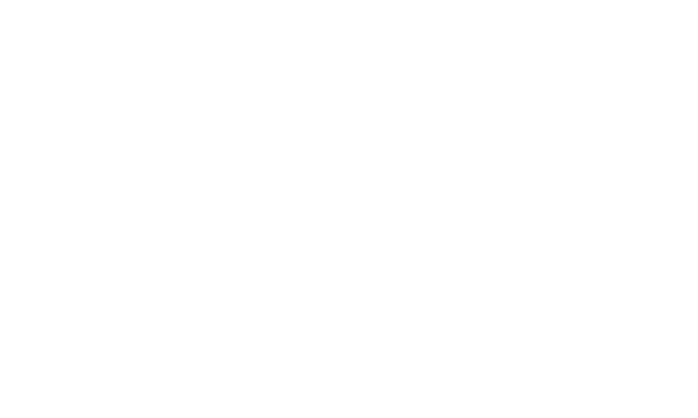 Rent Roll Mastery