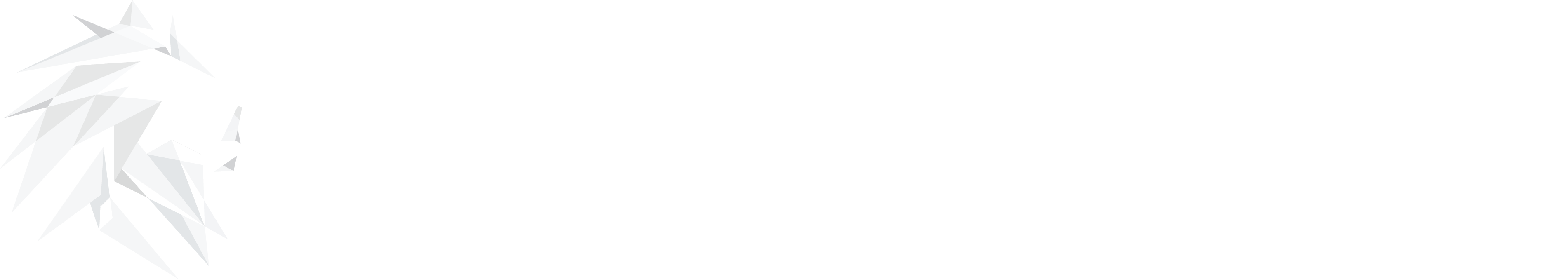 Logo Dutch Height wit