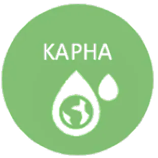 Kapha dosha of human body