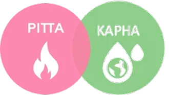 Pitta kapha of human body