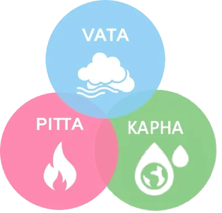 A human made with 3 doshas as per ayurveda vata Pitta kapha