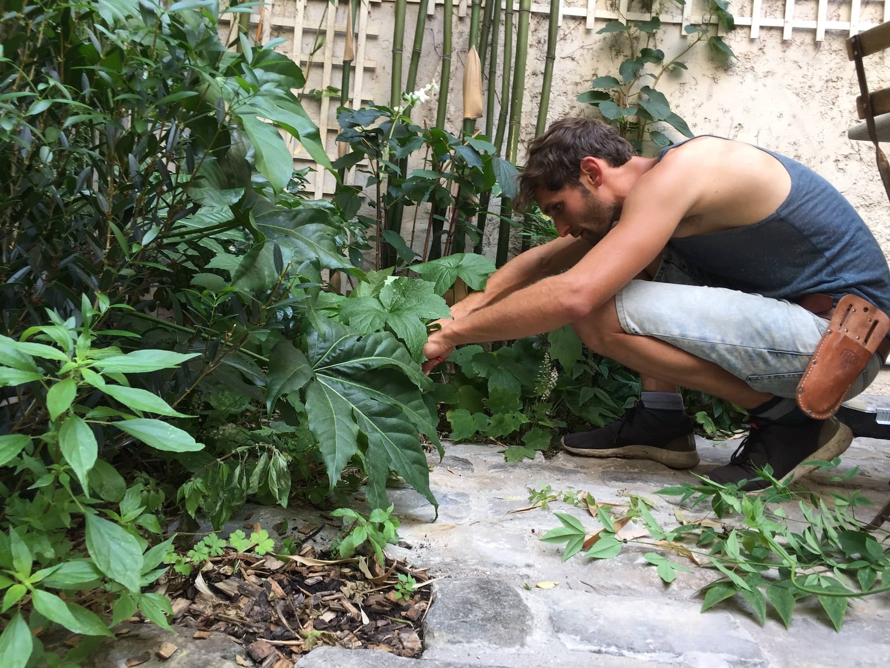 Kevin Clare Paysages - Concepteur Paysagiste