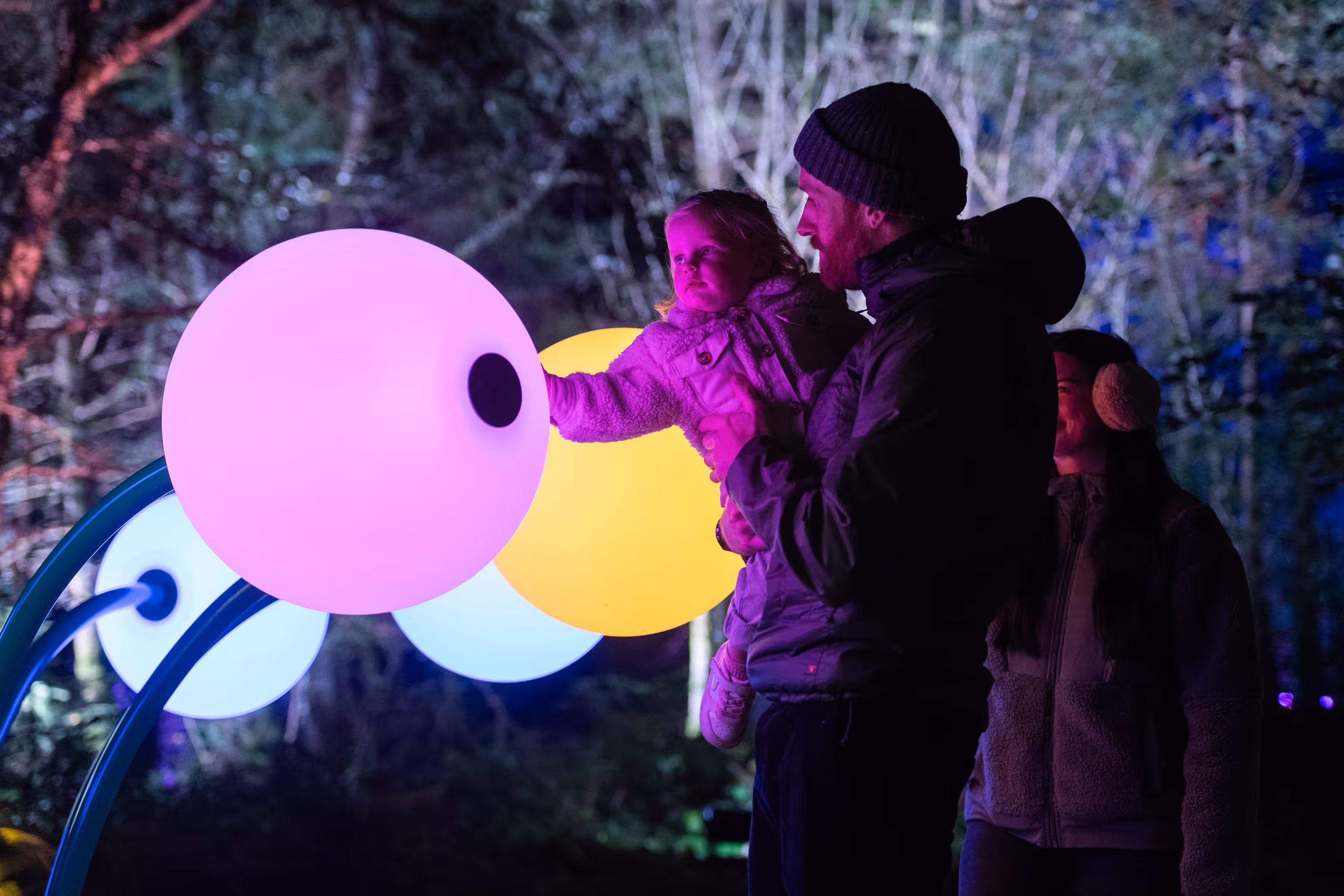 Interactive light sculpture 'In Bloom' by Kumquat Lab at The Enchanted Forest in Pitlochry.