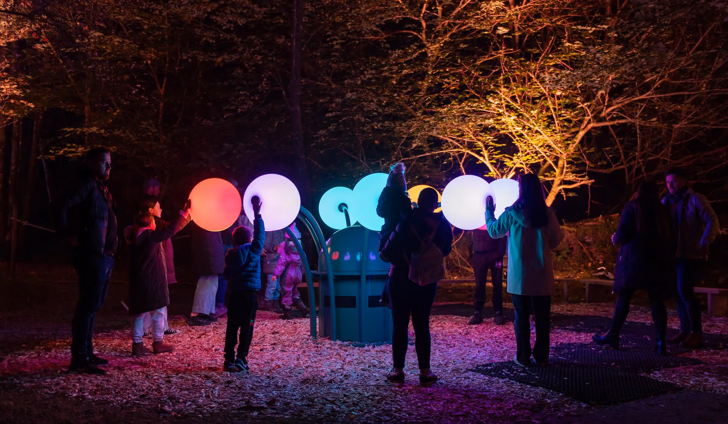Interactive light sculpture 'In Bloom' by Kumquat Lab at The Enchanted Forest in Pitlochry.