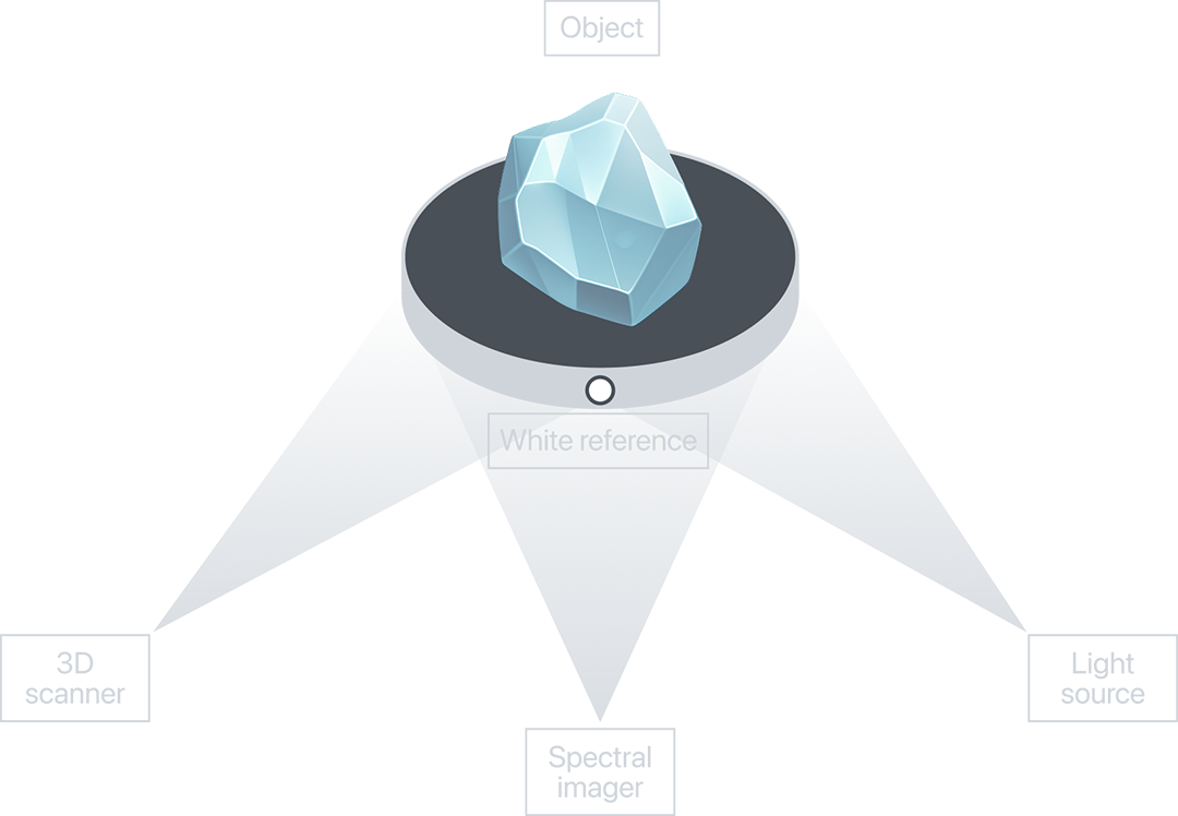 Optical scanning process visualization