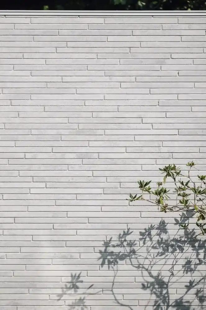Een vlakke gevelsteen/ metselwerk bij een moderne woning waarbij het groen subtiel binnendringt