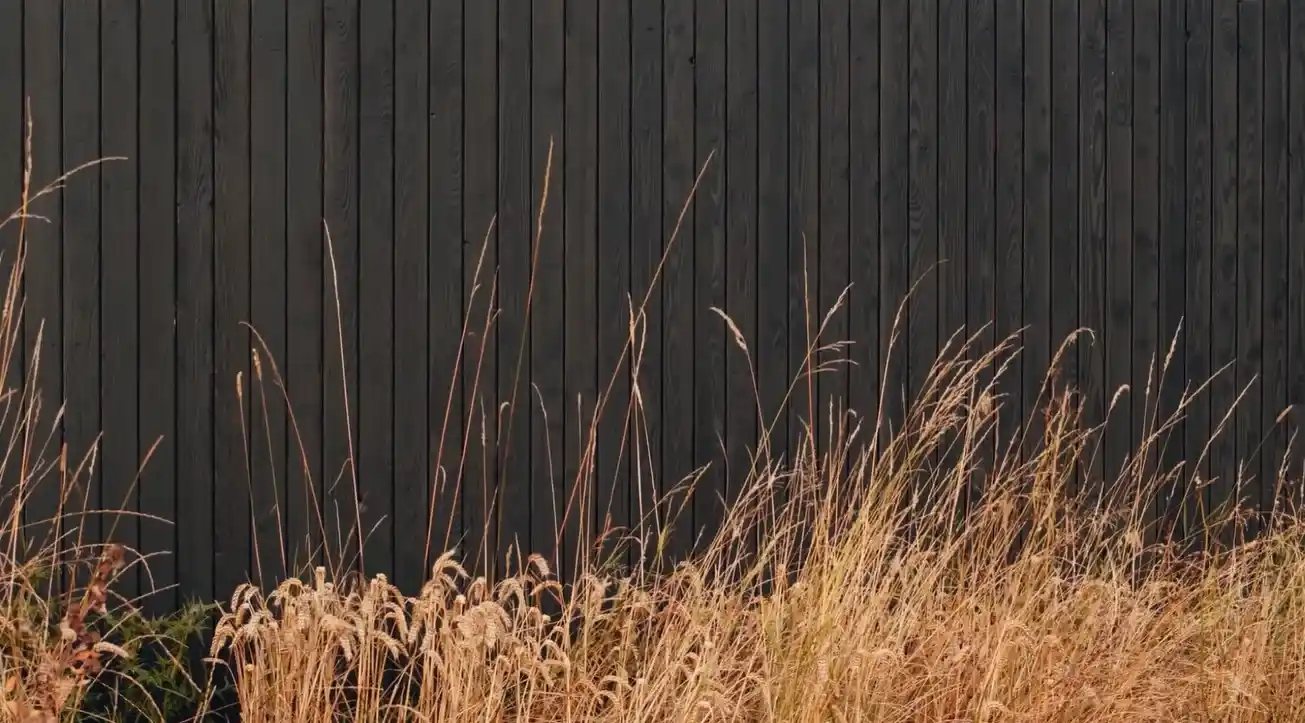 Pluimen voor een zwart houten gevelbekleding waardoor het contrast elkaar versterkt
