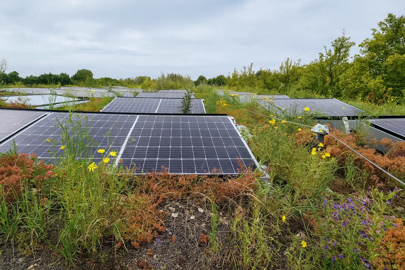 Dé blog voor een duurzamer huis. Hoe pak je het slim aan?